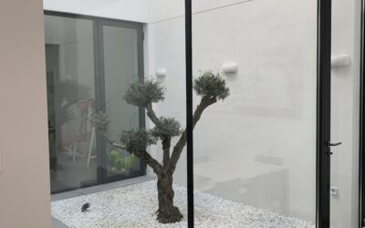 La evolución de la carpintería de aluminio en Valencia: Innovación y Durabilidad